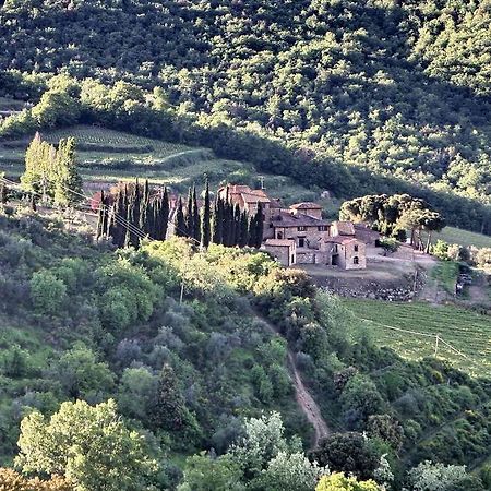 Residenza Antico Chianti Konuk evi Panzano in Chianti Dış mekan fotoğraf