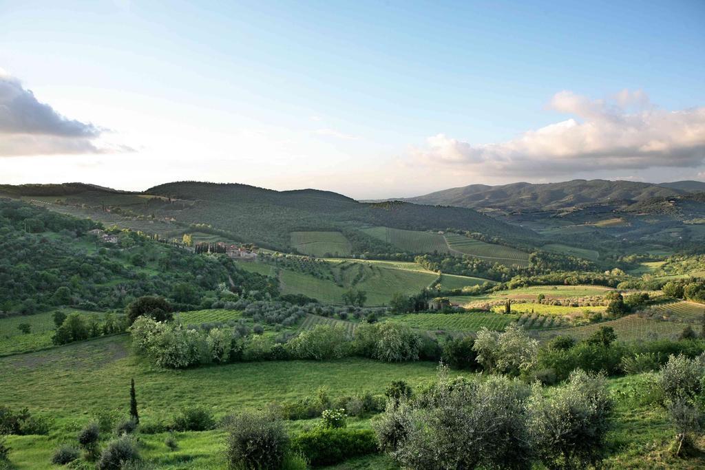 Residenza Antico Chianti Konuk evi Panzano in Chianti Dış mekan fotoğraf