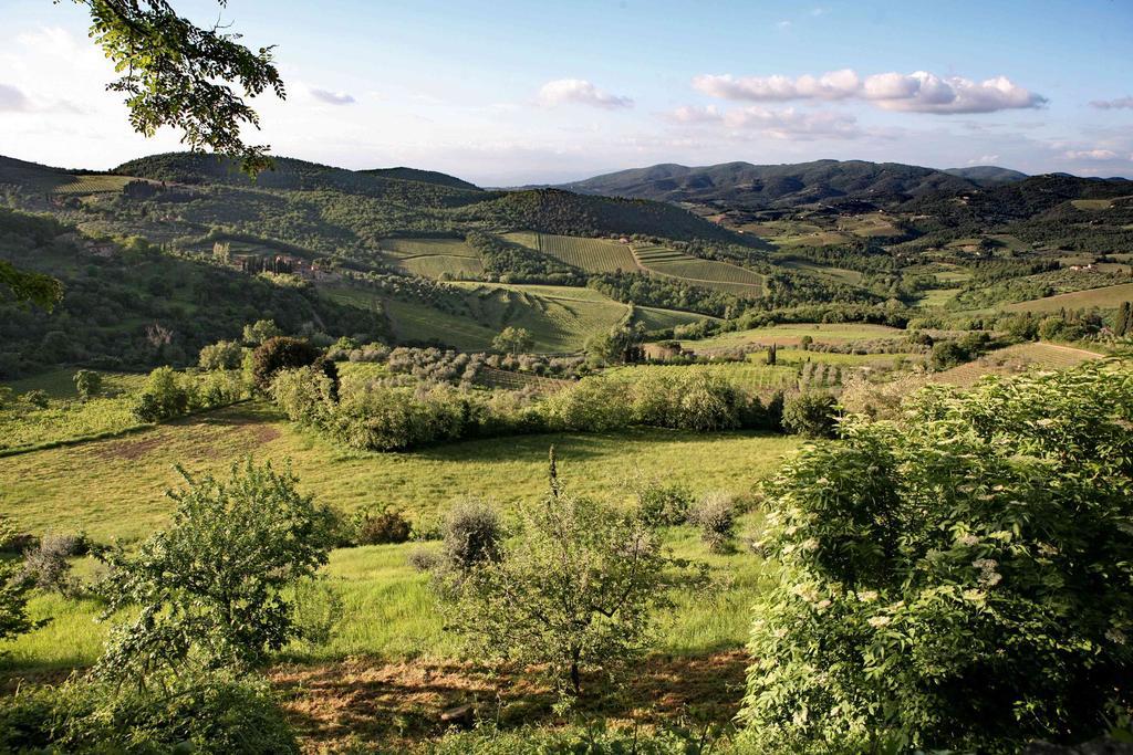 Residenza Antico Chianti Konuk evi Panzano in Chianti Dış mekan fotoğraf